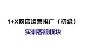 [转载]1+X职业技能等级证书-网店运营推广（初级）实训客服模块-晚染'blog
