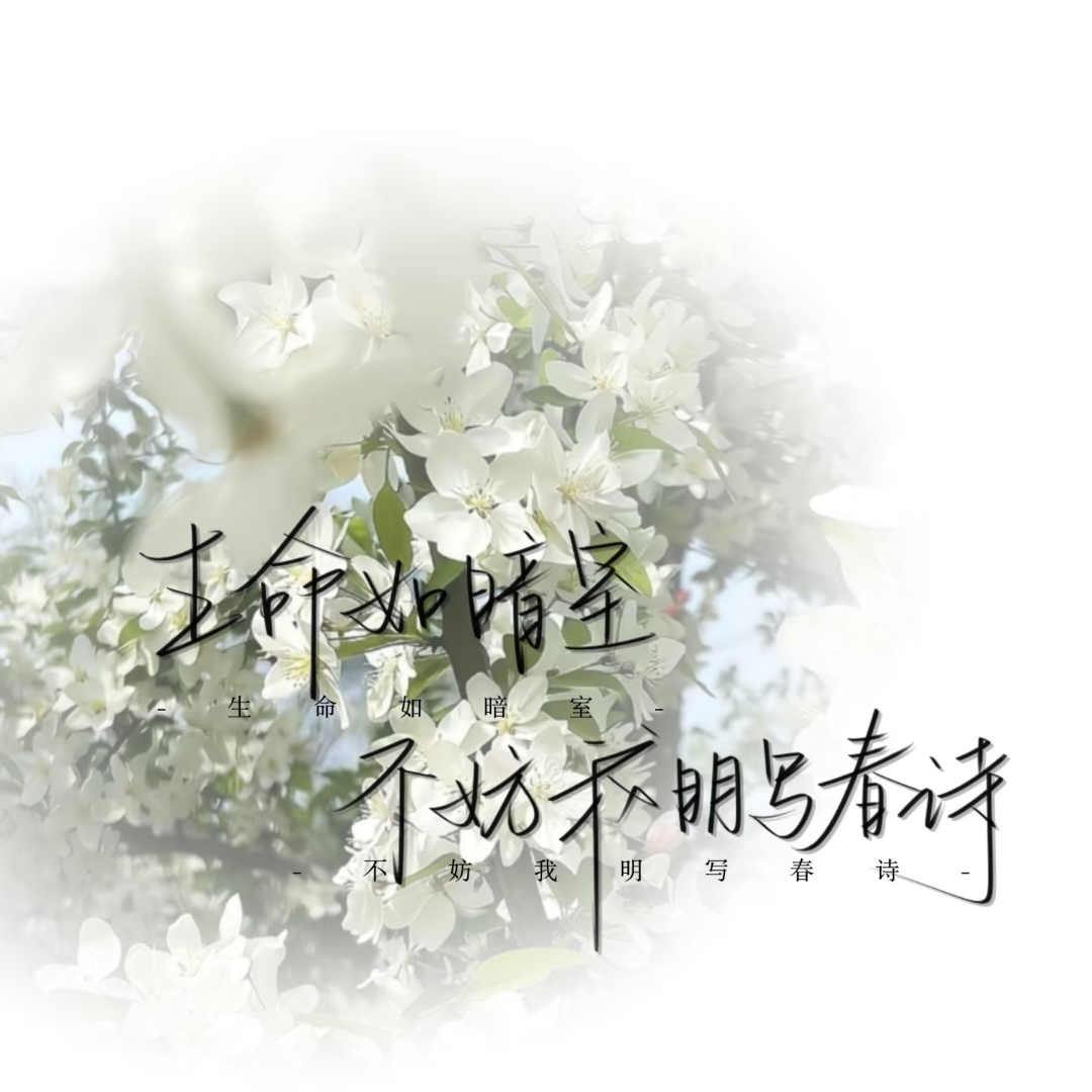 用户封面
